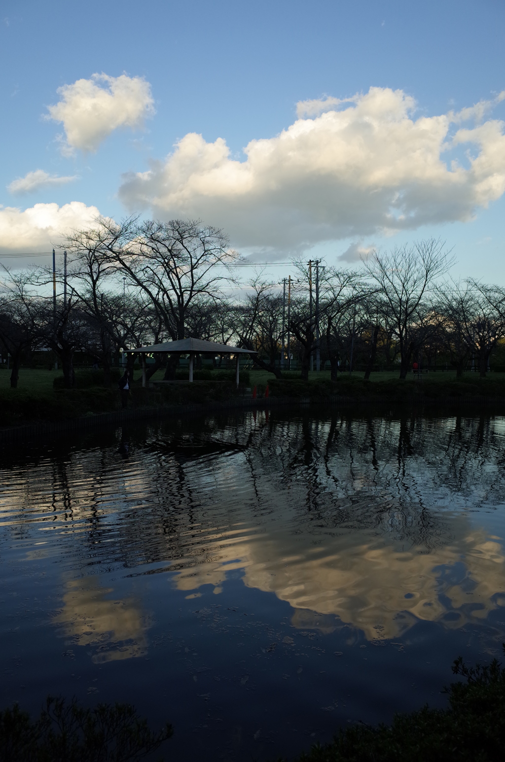2015/11/03_岩槻城址公園