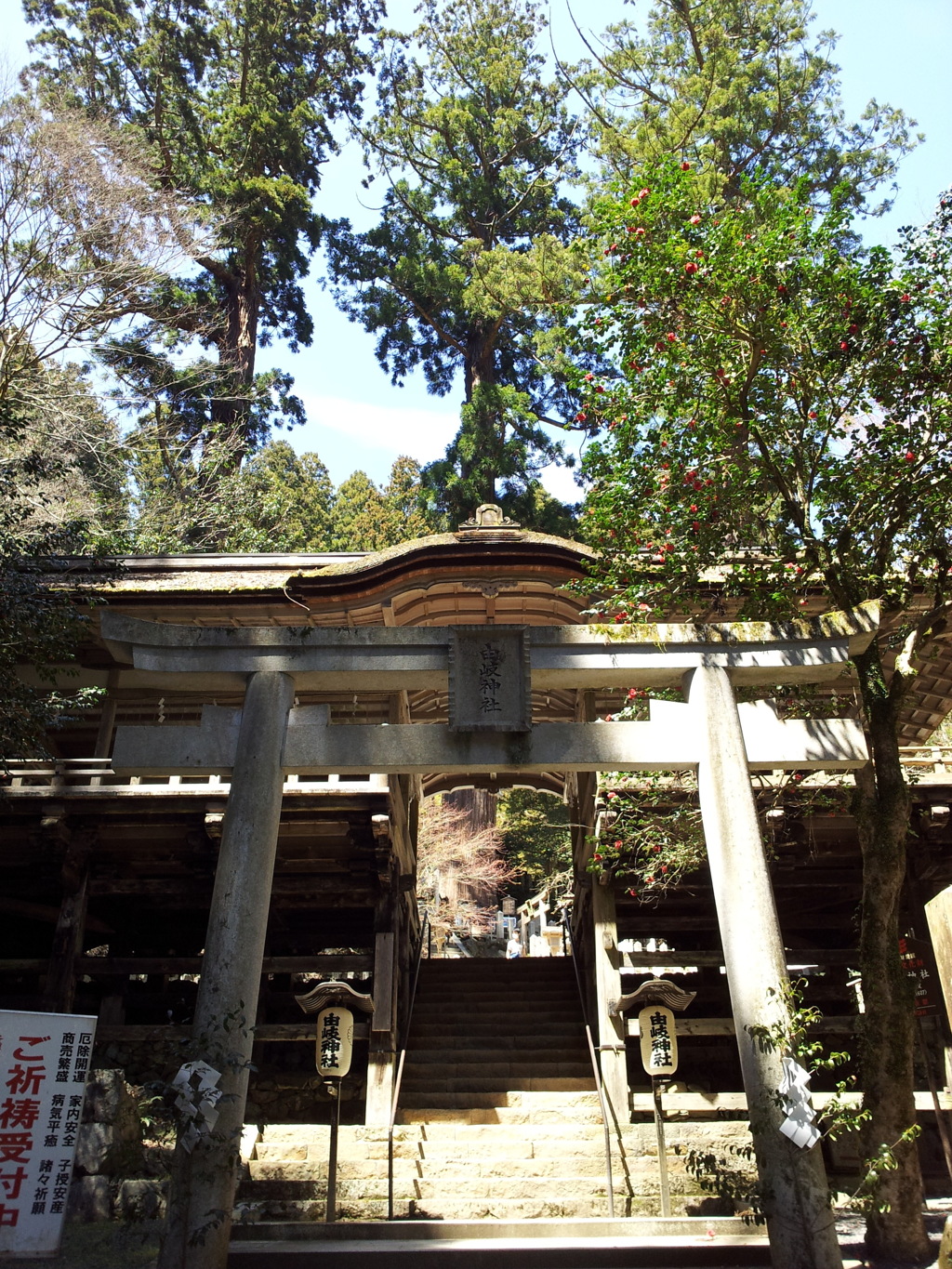 2019/04/13_由岐神社 鳥居と拝殿