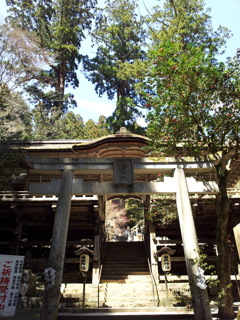 2019/04/13_由岐神社 鳥居と拝殿