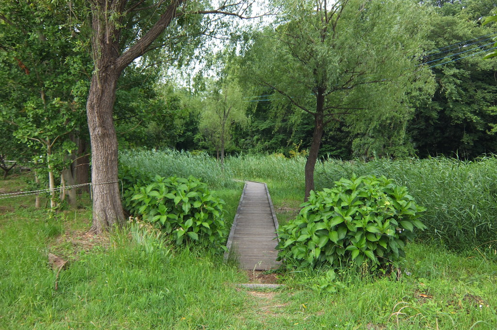 2014/06/21_ホタルの里