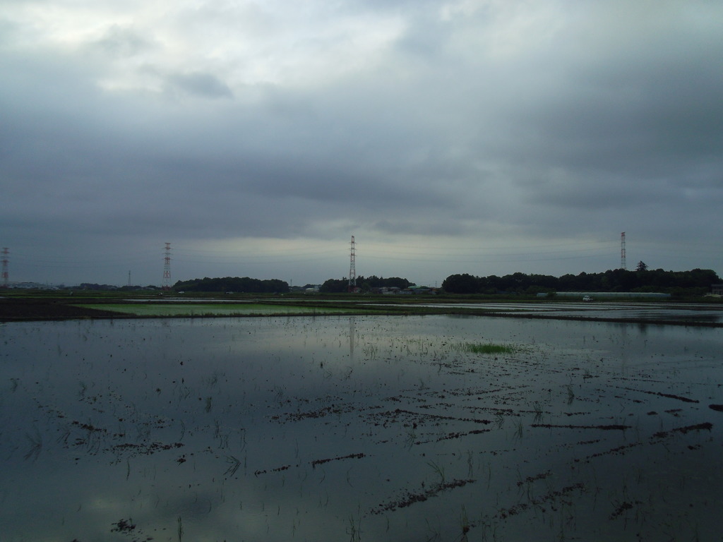 2017/05/27_水田の曇天