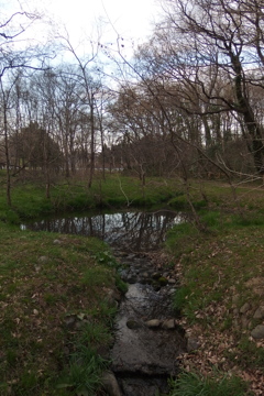 2016/03/26_北本自然観察公園