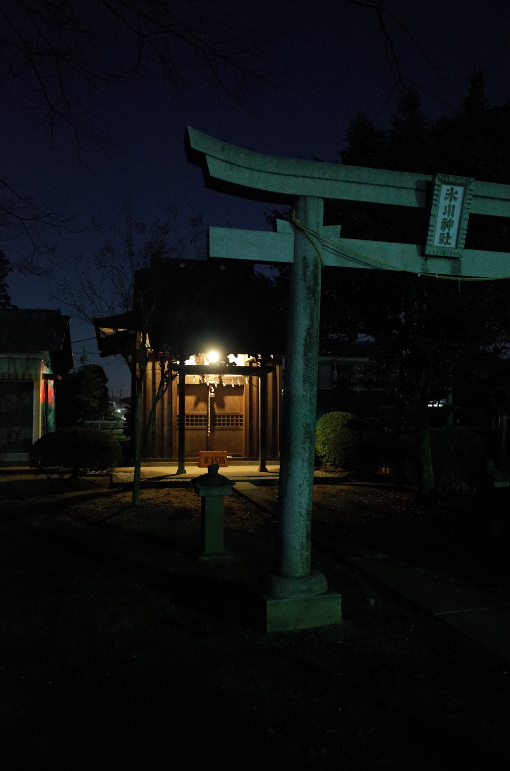 2015/01/24_夜の氷川神社