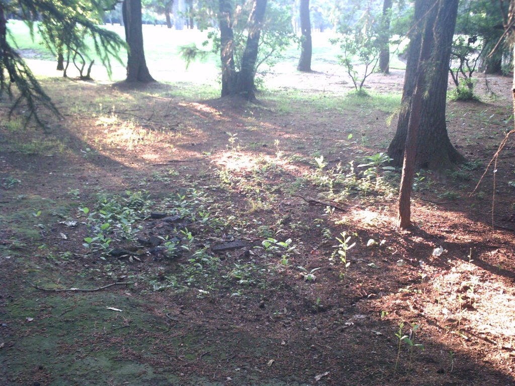 2015/05/24_夕暮れのゴルフ場