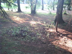 2015/05/24_夕暮れのゴルフ場