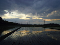 2017/06/10_水田の夕暮れ