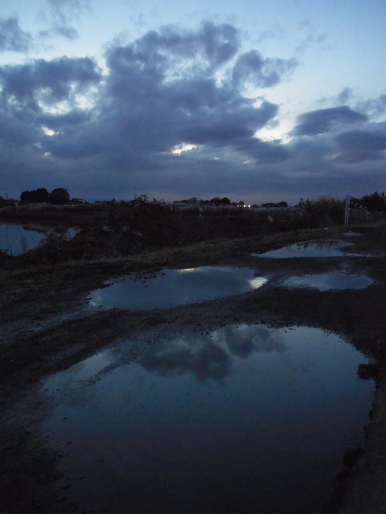 2016/11/26_水溜まりの夕暮れ