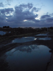 2016/11/26_水溜まりの夕暮れ