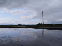 2017/05/14_水田の晴れ間