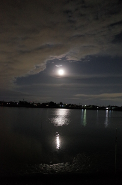 2014/12/07_月夜の伊佐沼