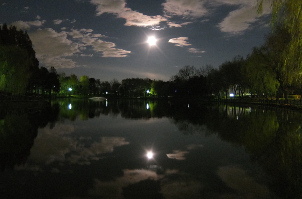 2014/12/06_月夜の北本総合公園