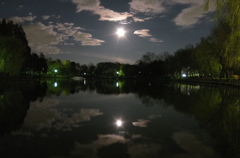 2014/12/06_月夜の北本総合公園