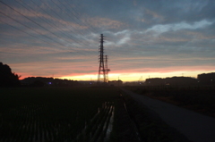 2015/06/27_水田の夕暮れ