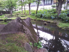 2016/07/16_盛岡城跡公園（岩手公園）鶴ケ池