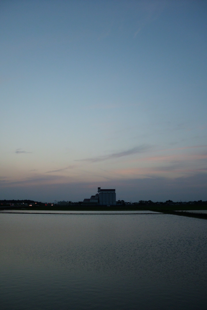 2016/06/18_水田の夕暮れ