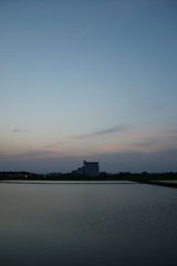 2016/06/18_水田の夕暮れ