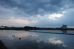 2016/06/26_水田の夕暮れ
