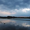 2016/06/26_水田の夕暮れ
