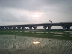 2015/07/05_水田に曇天