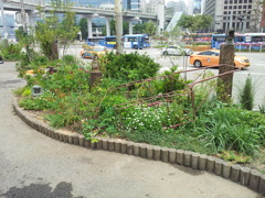 2017/06/19_ソウル駅前の街中アート