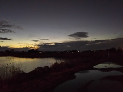 2017/01/09_水溜まりと溜め池の夕暮れ