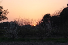 2015/03/22_夕日