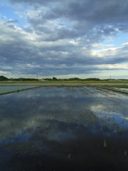2017/06/04_水田に雲