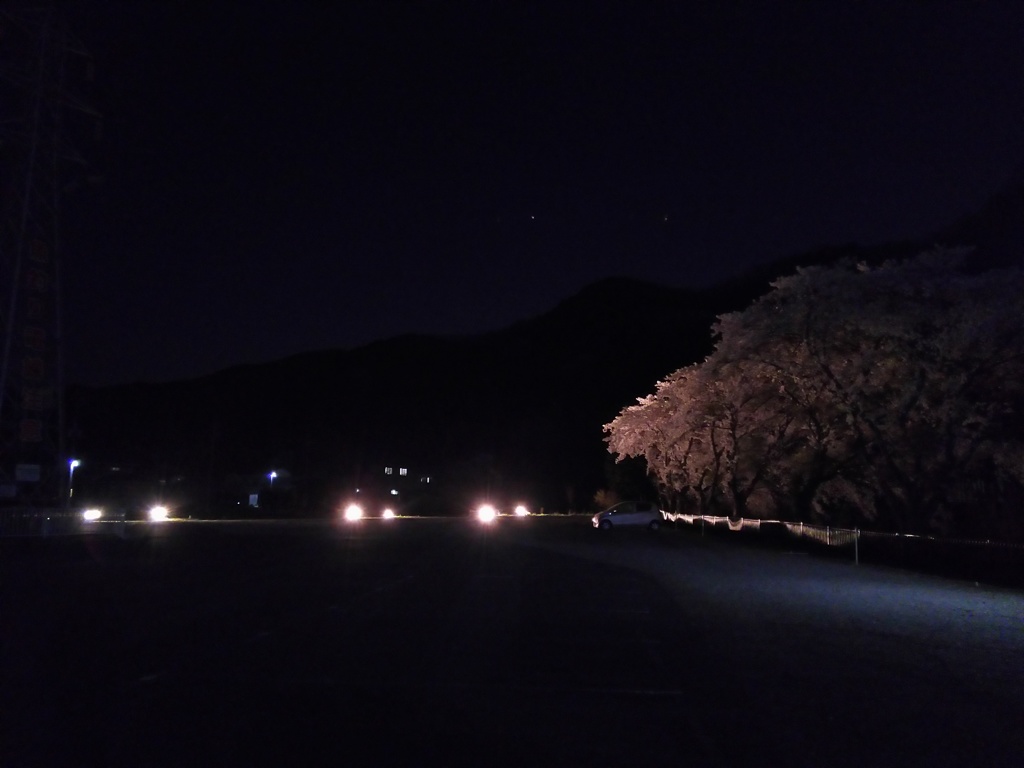 2018/03/31_外秩父の夜桜