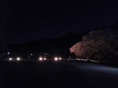 2018/03/31_外秩父の夜桜