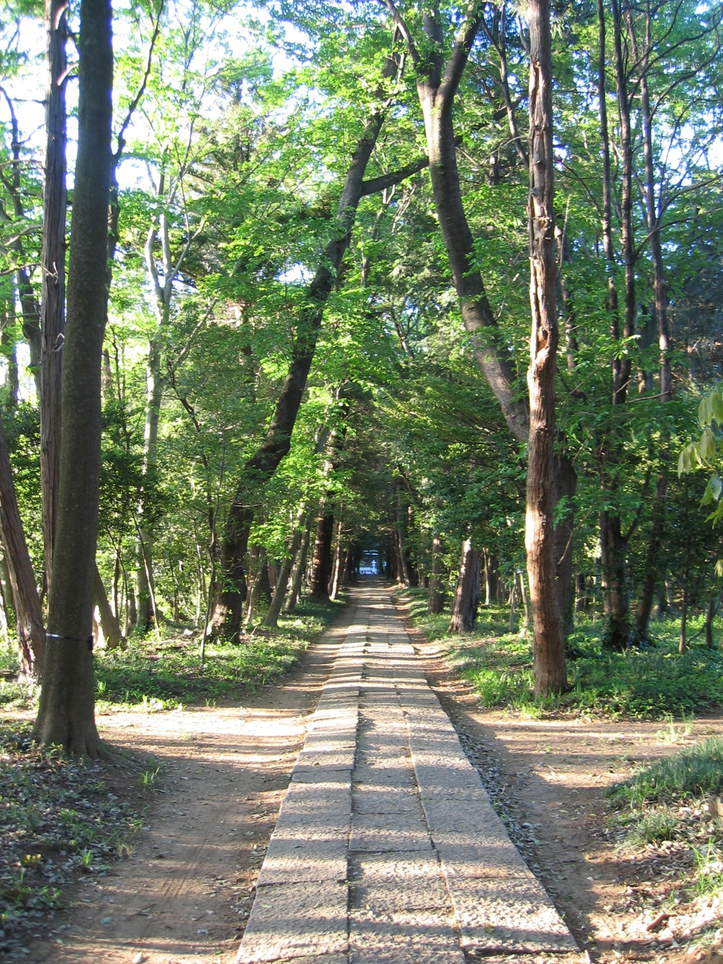 2017/05/04_神明神社参道