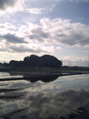 2017/05/14_水田に雲