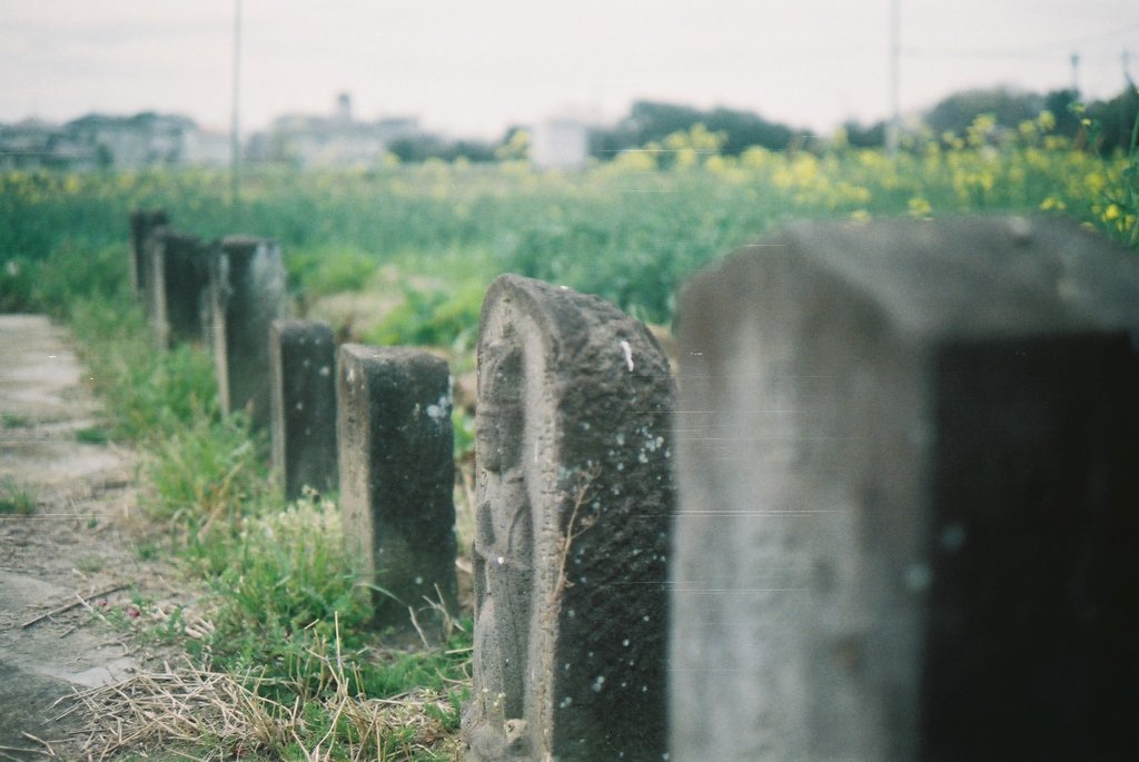 2016/04/03_馬頭観音群