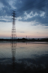 2016/06/05_水田の夕暮れ