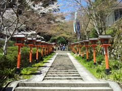 2019/04/13_鞍馬寺 参道