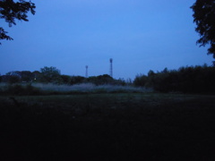 2017/05/06_夕暮れの原野