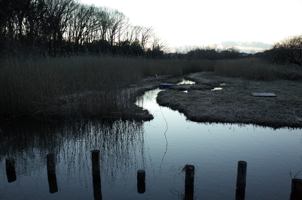2015/02/15_夕暮れの秋葉の森総合公園