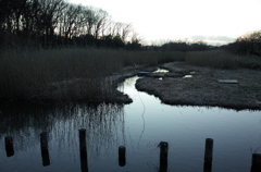 2015/02/15_夕暮れの秋葉の森総合公園