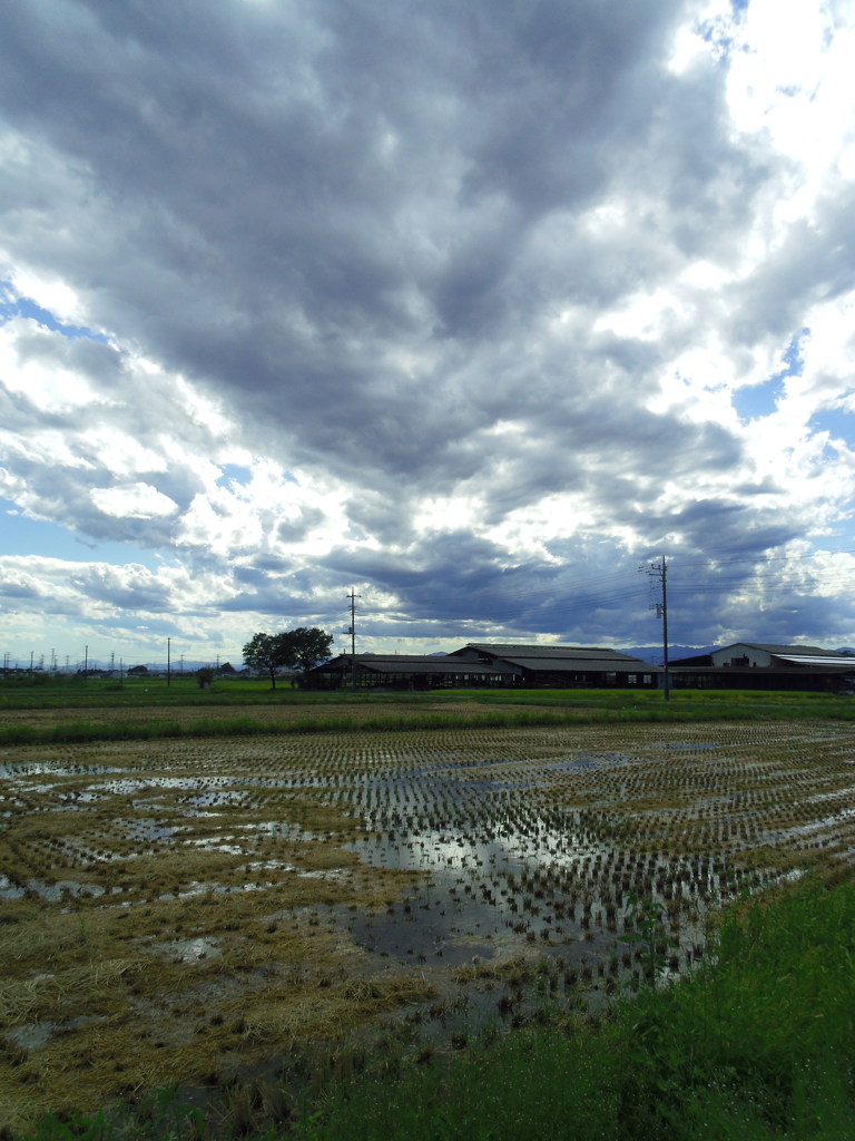 2017/09/18_水田に雲