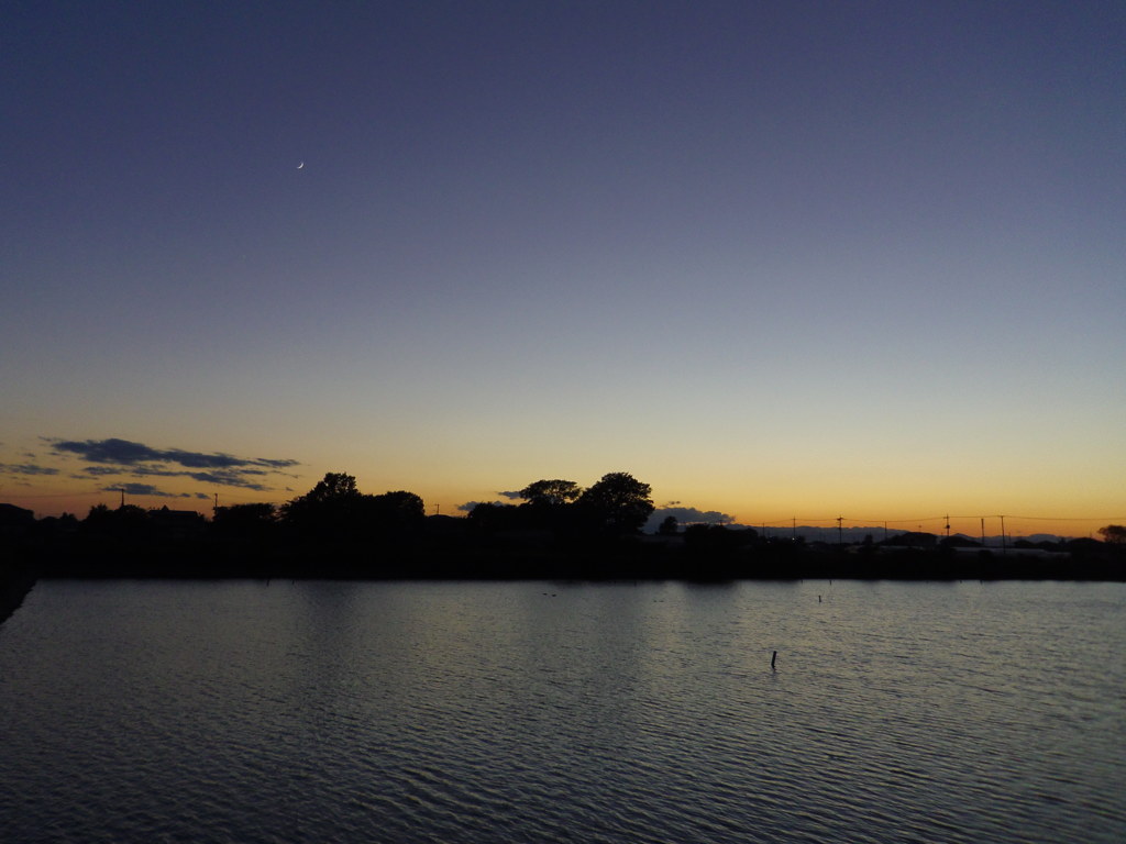 2016/11/03_溜め池の夕暮れ