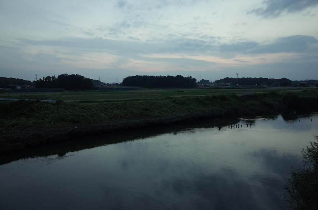 2014/10/12_元荒川の夕暮れ