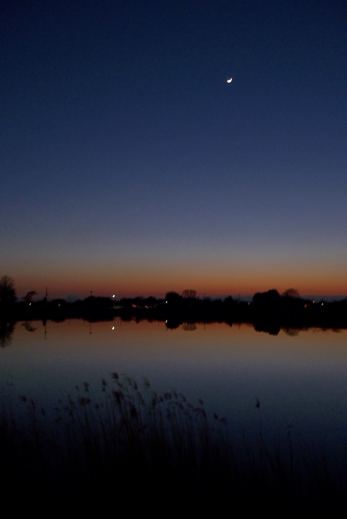 2016/02/11_溜め池の夕暮れ