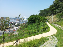 2017/06/18_月明公園の海側斜面からの眺め