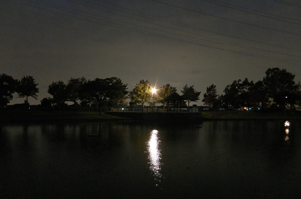 2015/10/04_夕暮れの平成の森公園