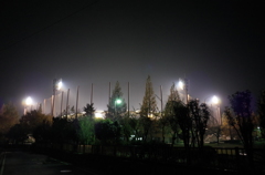 2014/11/24_夜の上平公園