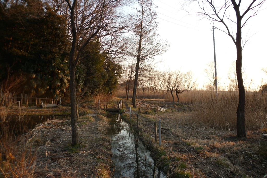 2015/02/11_ホタルの里