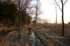 2015/02/11_ホタルの里