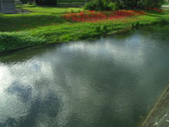 2017/09/18_槻川と彼岸花