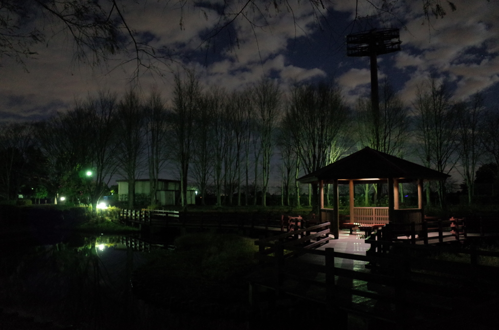 2014/12/06_夜の北本総合公園