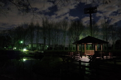 2014/12/06_夜の北本総合公園