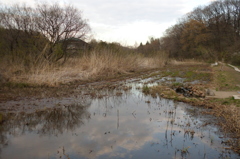 2016/03/26_北本自然観察公園